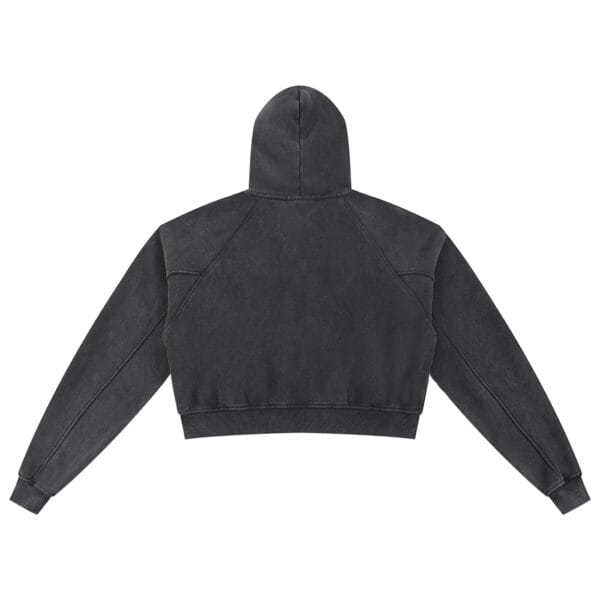Snowfall Cropped Hoodie in snow-wash finish, shown in one of its colors: Blue, Black or Light Pink